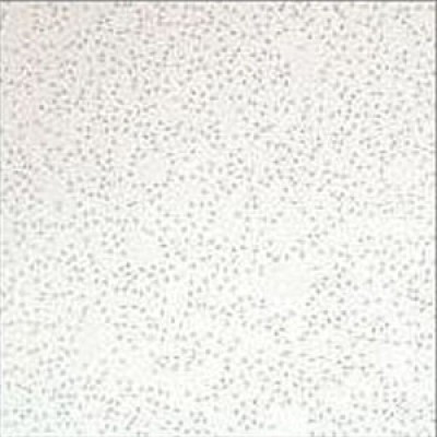 Плита Atlantica 600x600x12