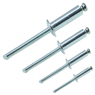 Закльопки 4,8*12,5мм (50) 1450-48125 LT